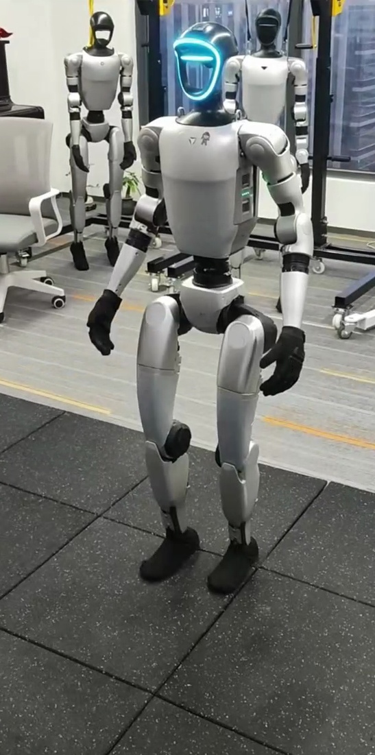 Standard embodied robot proof still