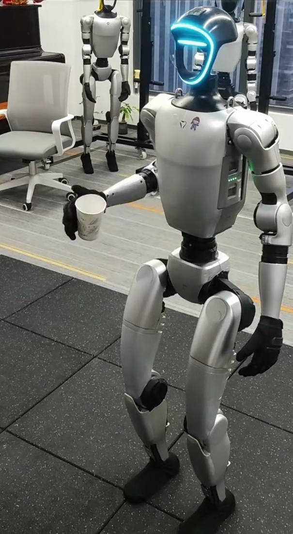 Attentive embodied robot proof still